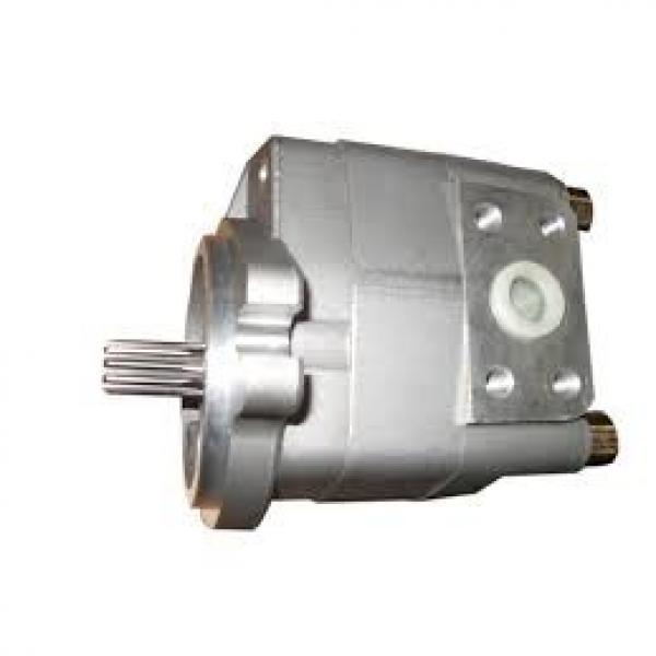 146-49-11000 Komatsu Gear Pump Origine Japon #3 image